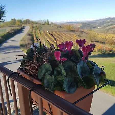 La Casa Nel Vento Vignale